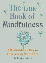 Little Book of Mindfulness Free PDF Download