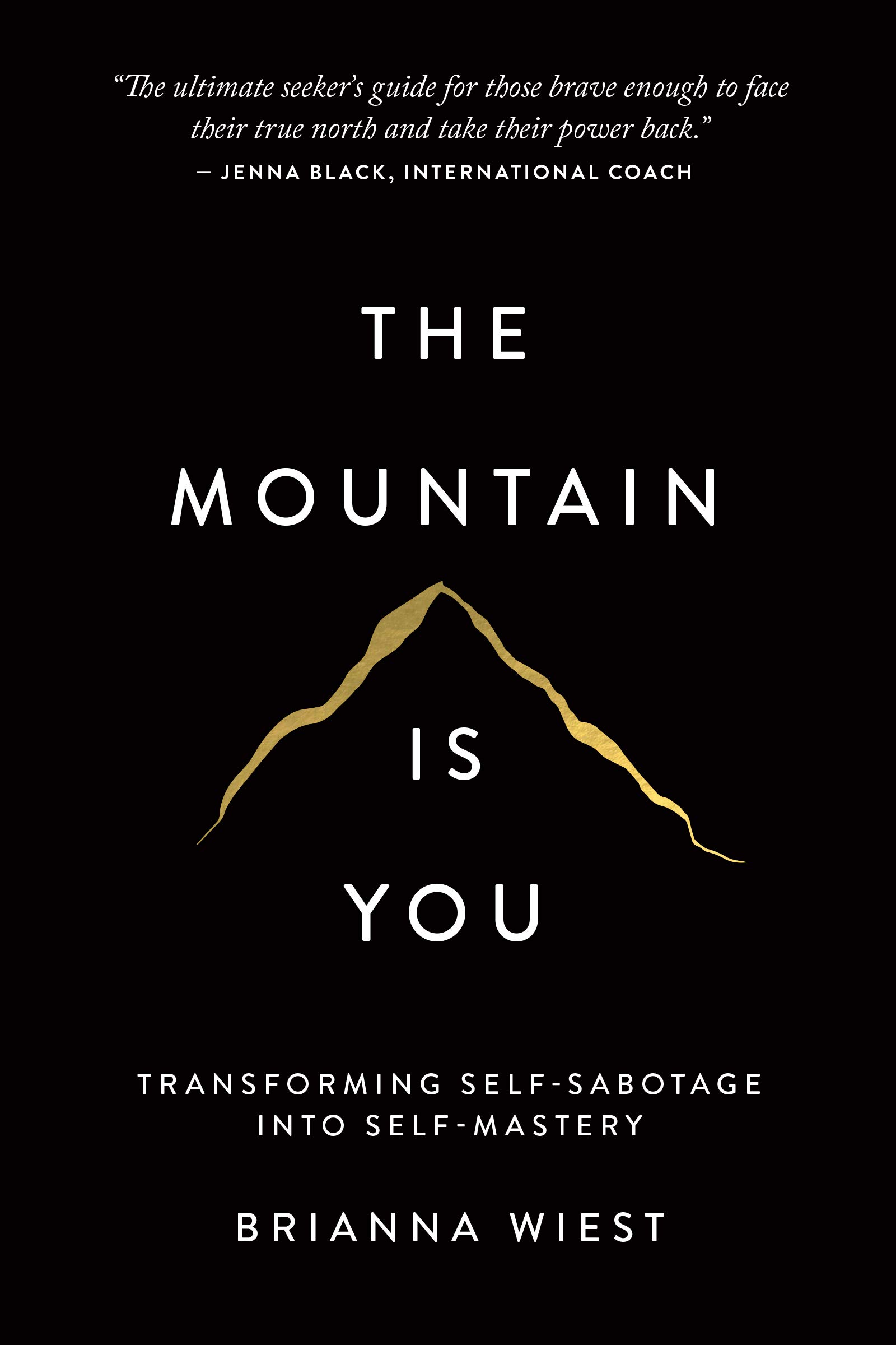 The Mountain is You Free PDF Download