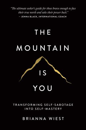 The Mountain is You Free PDF Download