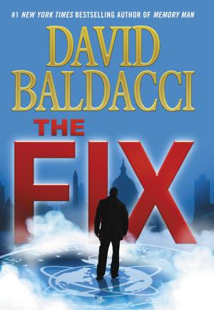 The Fix (Amos Decker #3) Free PDF Download