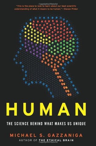 Human by Michael S. Gazzaniga Free PDF Download