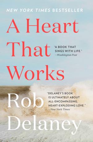 A Heart That Works Free PDF Download