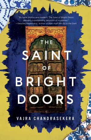 The Saint of Bright Doors Free PDF Download