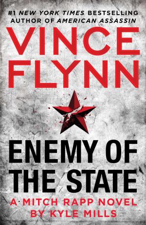 Enemy of the State (Mitch Rapp #16) Free PDF Download