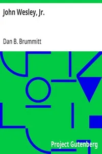 John Wesley, Jr.: The Story of an Experiment — Dan B. (Dan Brearley) Brummitt cover