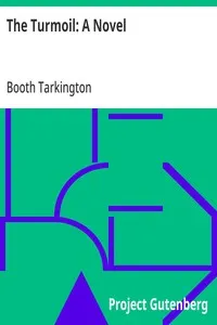 The Turmoil: A Novel — Booth Tarkington cover