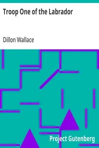 Troop One of the Labrador — Dillon Wallace cover