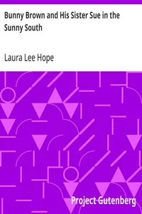 Bunny Brown and His Sister Sue in the Sunny South — Laura Lee Hope cover
