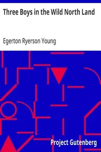 Three Boys in the Wild North Land — Egerton Ryerson Young cover