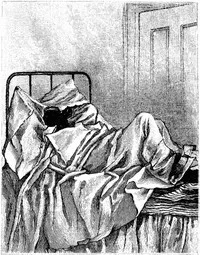 St. Nicholas Magazine for Boys and Girls, Vol. 5, July 1878, No. 9 cover