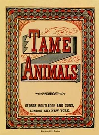 Tame Animals — Anonymous cover