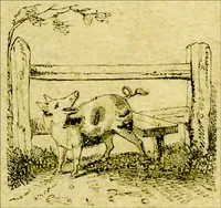 The Remarkable Adventures of an Old Woman and Her Pig: An Ancient Tale in a Modern Dress — Anonymous cover