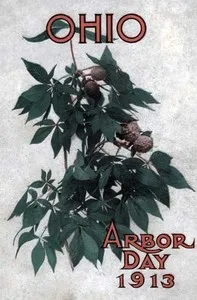Ohio Arbor Day 1913: Arbor and Bird Day Manual: Issued for the Benefit of the Schools of our State — Anonymous cover