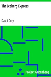 The Iceberg Express — David Cory cover