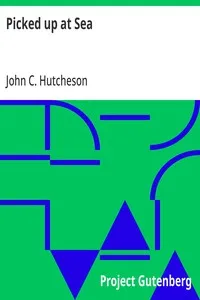Picked up at Sea: The Gold Miners of Minturne Creek — John C. (John Conroy) Hutcheson cover