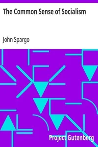 The Common Sense of Socialism: A Series of Letters Addressed to Jonathan Edwards, of Pittsburg — John Spargo cover