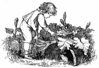 Wood Magic: A Fable — Richard Jefferies cover