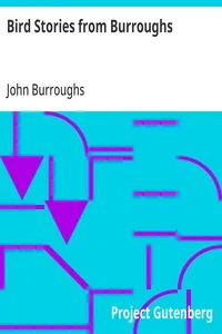 Bird Stories from Burroughs: Sketches of Bird Life Taken from the Works of John Burroughs — John Burroughs cover