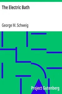 The Electric Bath — George M. Schweig cover