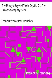 The Bradys Beyond Their Depth; Or, The Great Swamp Mystery — Francis Worcester Doughty cover