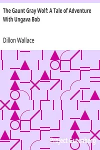 The Gaunt Gray Wolf: A Tale of Adventure With Ungava Bob — Dillon Wallace cover