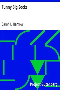 Funny Big Socks: Being the Fifth Book of the Series — Sarah L. Barrow cover