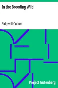 In the Brooding Wild — Ridgwell Cullum cover
