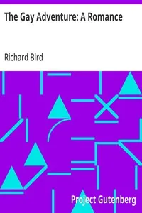 The Gay Adventure: A Romance — Richard Bird cover