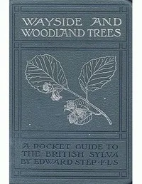Wayside and woodland trees : $b a pocket guide to the British sylva — Edward Step cover