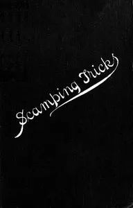 Scamping Tricks and Odd Knowledge Occasionally Practised upon Public Works — John Newman cover