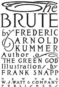 The Brute — Frederic Arnold Kummer cover