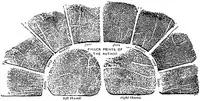 Finger prints — Francis Galton cover