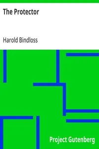 The Protector — Harold Bindloss cover