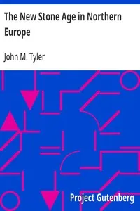 The New Stone Age in Northern Europe — John M. (John Mason) Tyler cover
