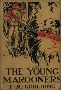 The Young Marooners on the Florida Coast cover