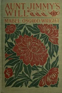 Aunt Jimmy's Will — Mabel Osgood Wright cover