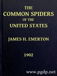 The Common Spiders of the United States cover