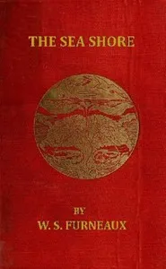 The Sea Shore — William S. Furneaux cover