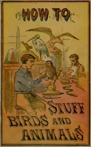 How to stuff birds and animals : $b A valuable book giving instruction in collecting, preparing, mounting, and preserving birds, animals, and insects — Aaron A. Warford cover