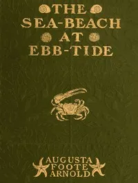 The Sea-beach at Ebb-tide: A Guide to the Study of the Seaweeds and the Lower Animal Life Found Between Tide-marks — Augusta Foote Arnold cover