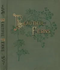 Beautiful Ferns — Daniel Cady Eaton cover