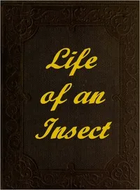 The Life of an Insect: being a history of the changes of insects from the egg to the perfect being. — Anonymous cover