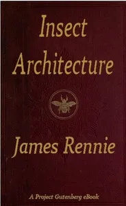 Insect Architecture cover