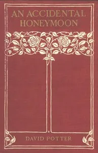 An Accidental Honeymoon — Edward Barron cover