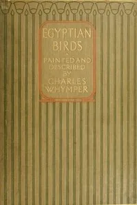 Egyptian Birds: For the most part seen in the Nile Valley — Charles Whymper cover