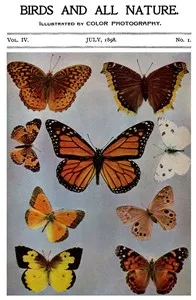 Birds and All Nature, Vol. 4, No. 1, July 1898: Illustrated by Color Photography — Various cover
