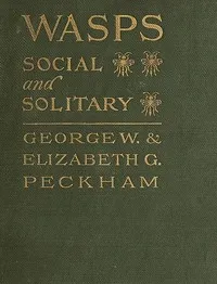Wasps, Social and Solitary — George W. (George Williams) Peckham cover