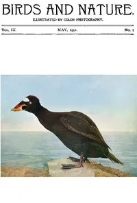 Birds and Nature Vol. 09 No. 5 [May 1901]: Illustrated by Color Photography — Various cover