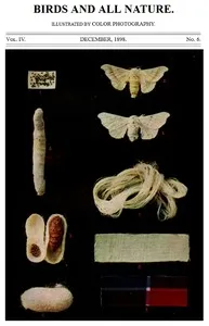 Birds and All Nature, Vol. 4, No. 6, December 1898: Illustrated by Color Photography — Various cover