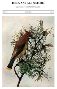 Birds and All Nature, Vol. 5, No. 5, May 1899: Illustrated by Color Photography — Various cover